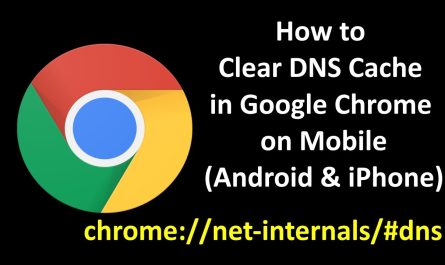 Chrome //net-internals/#dns
